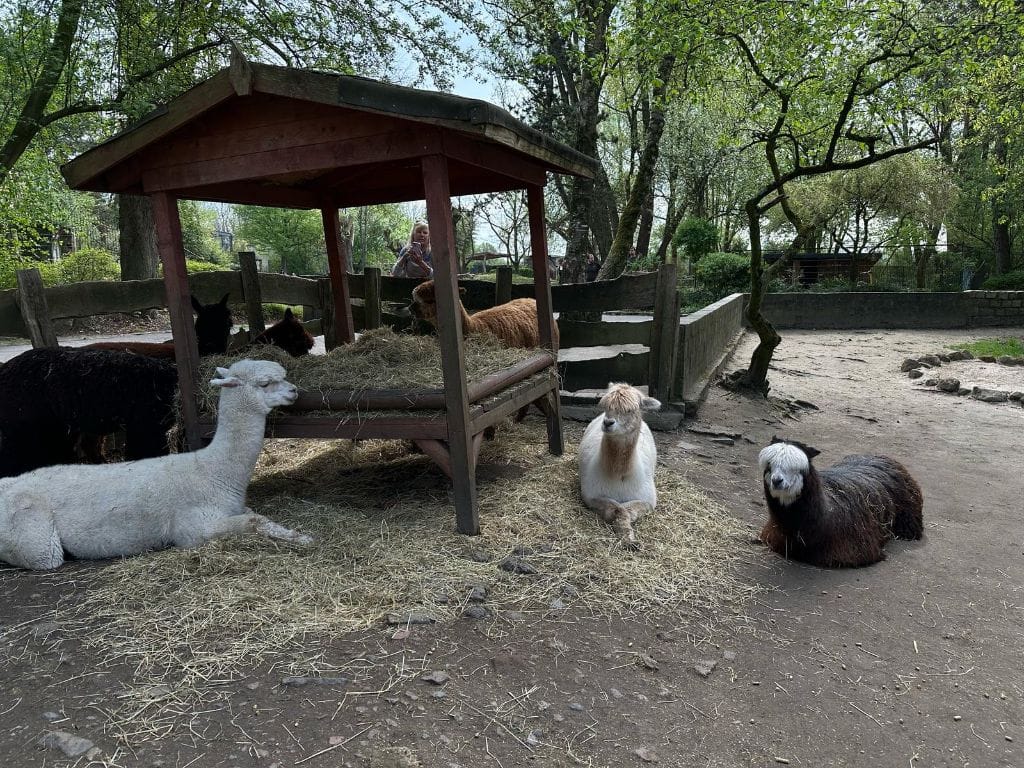 Tierpark
